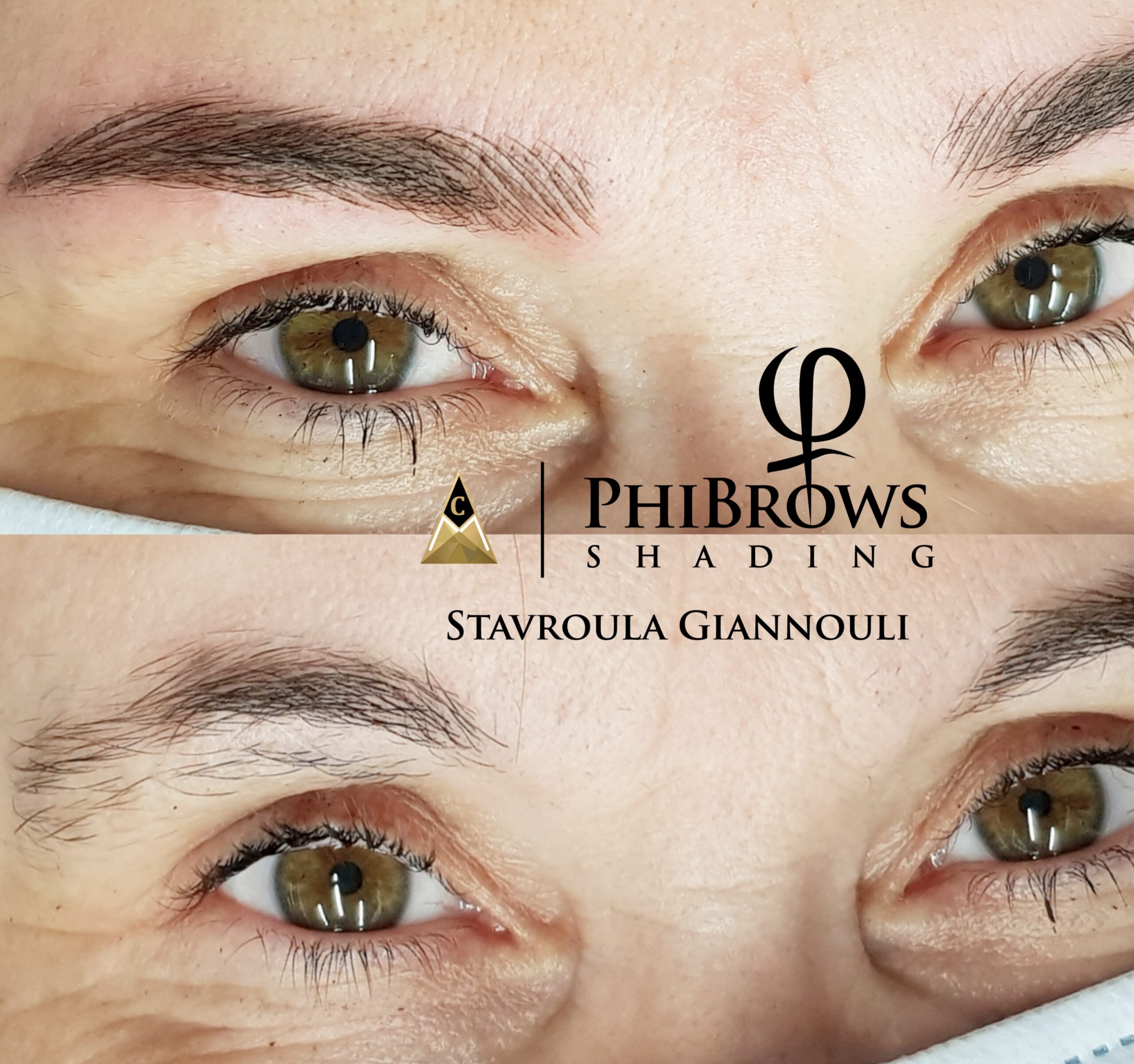 PhiBrows Shading